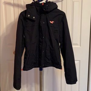 Hollister Winter Jacket